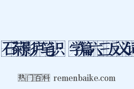 石菊影庐笔识·学篇六三反义词是什么意思的图片